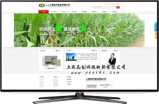 松江網(wǎng)站建設與山西網(wǎng)站發(fā)展 行業(yè)對比與專業(yè)服務解析